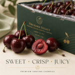 Premium Chilean Santina Cherries | Jumbo 3J–4J+ | 1.5kg Gift Box - Image 2