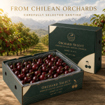 Premium Chilean Santina Cherries | Jumbo 3J–4J+ | 1.5kg Gift Box - Image 4